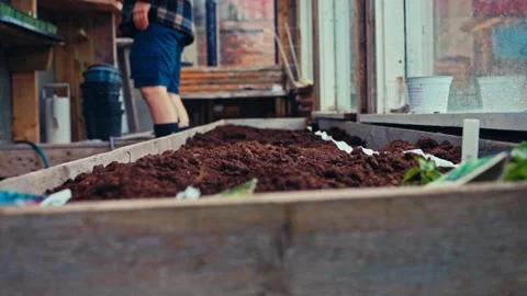 Hand Holding Compost Soil For Planting And Seedling Propagation Stock Footage 346569076