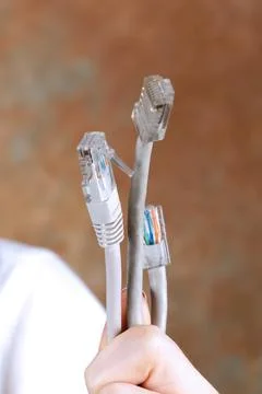 Hand holding computer network connectors data cables Stock Photos