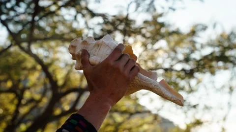 Hand holding a conch shell during a Mayan fire ceremony outdoors Stock Footage 328913810