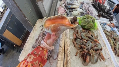 Hand holding a conch shell over an iced seafood stall in Hurghada, Egypt, with Stock Footage 333414487