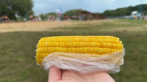 Hand holding cooked yellow corn on the cob in plastic bag outdoors Vídeo Stock 338361657