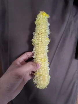 Hand Holding Corn Cob After Eating Foto stock