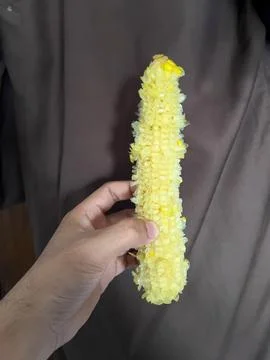 Hand Holding Corn Cob Stock-Fotos