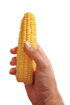 Hand holding corn Foto stock