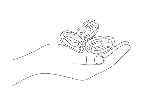Hand Holding Dates Fruit Line Art Illustration, Islamic Sunnah for Ramadan .. Illustrazione stock