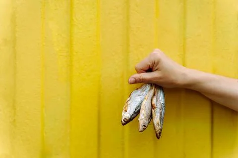 Hand Holding Dried Fish Against a Bright Yellow Background Stock Photos