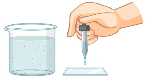 Hand Holding Dropper Drops Sample into Microscope Slides Stock Illustration
