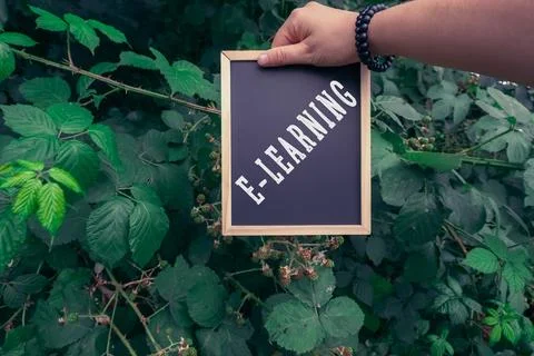 Hand Holding E Learning Sign Amidst Greenery Fotos Stock