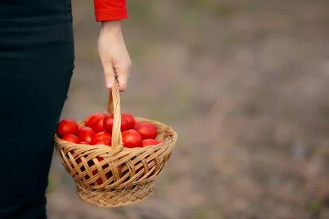 Hand Holding Easter Eggs Basket in Egg Hunt Challenge Foto stock