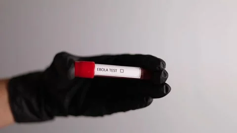 Hand Holding Ebola Blood Sample Tube Against Neutral Background Stock Footage 335659100