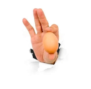 Hand holding an egg Stock Photos