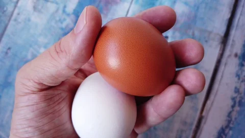 Hand holding a eggs. Two different chicken eggs in a hand Stock Footage 129375042