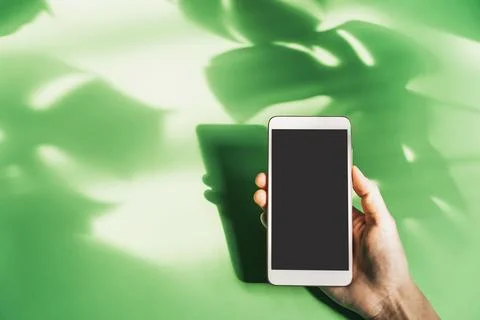 Hand holding empty screen smart phone with shadow of tropical green leave on  Stock Photos