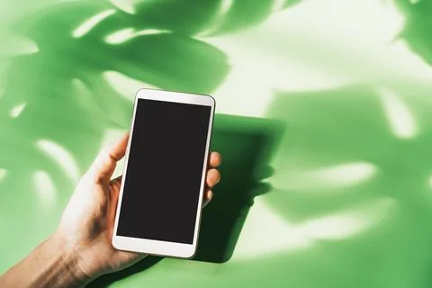 Hand holding empty screen smart phone with shadow of tropical green leave Fotos Stock