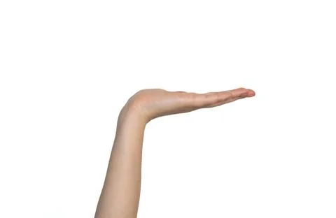 Hand holding empty space gesture isolated Stock Photos