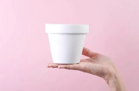 Hand holding empty white flower pot against pink background Foto stock