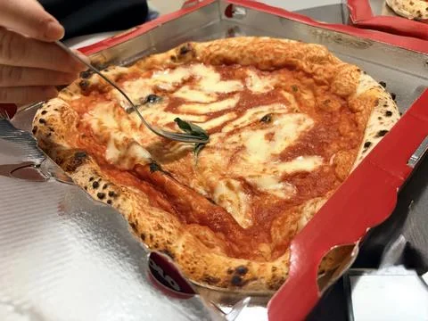 Hand Holding Fork Over Fresh Margherita Pizza in Takeaway Box Fotos de archivo
