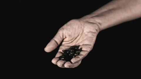 Hand Holding Fresh Coffee Beans, Slow Motion clip on Black Background Stockbeeldmateriaal 107168767