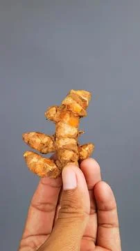Hand holding fresh ginger root on gray background Stock Photos