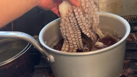 Hand Holding Fresh Octopus in a Boiling Pot, Color Change to Red, Japanese Food Stock Footage 343618168