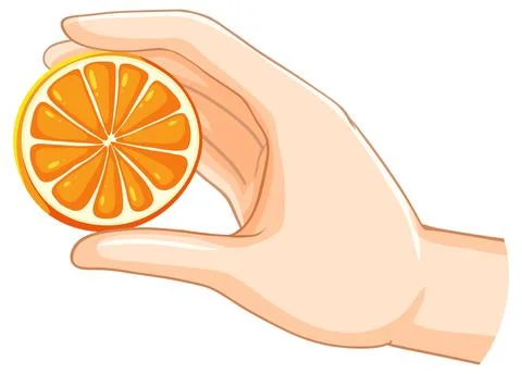 Hand Holding a Fresh Orange Slice Illustrazione stock