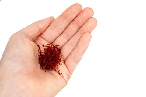 Hand holding fresh saffron threads for culinary or wellness use close-up Stock Photos