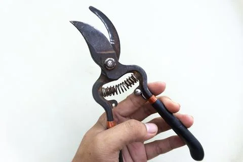 Hand Holding Garden Pruning Shears Fotos Stock