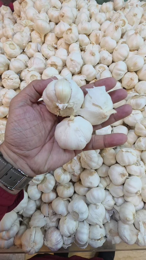 A hand holding Garlic while shopping in a supermarket Stock Footage 341553520
