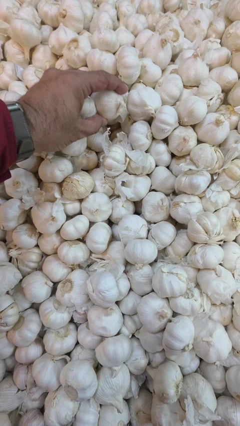 A hand holding Garlic while shopping in a supermarket Stock Footage 341553807