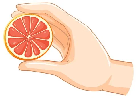 Hand Holding a Grapefruit Slice Illustrazione stock