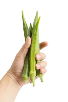 Hand holding green fresh okra isolated on white background Stock Photos