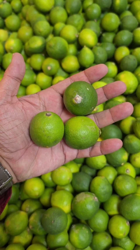 A hand holding green Limes while shopping in a supermarket Stock Footage 341553927