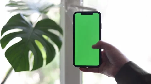 Hand holding a green screen smartphone with a monstera plant in the background Stock Footage 339217546
