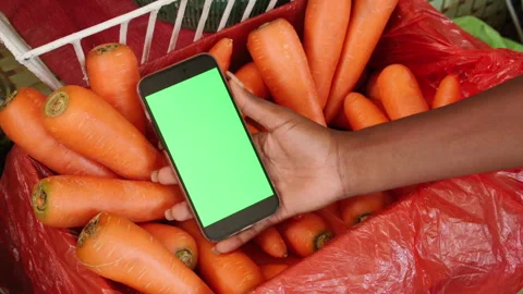 Hand Holding Green Screen Smartphone Over Carrots at Grocery Market. Video stock 345839726