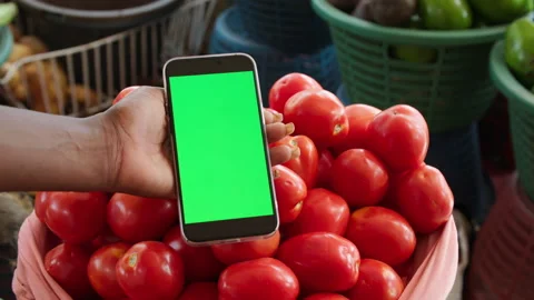 Hand Holding Green Screen Smartphone Over Ripe Tomatoes at Grocery Market Видео 345839821