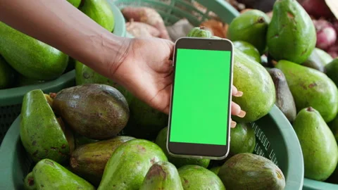 Hand Holding Green Screen Smartphone Over Fresh Avocados at Grocery Market Video stock 345839846