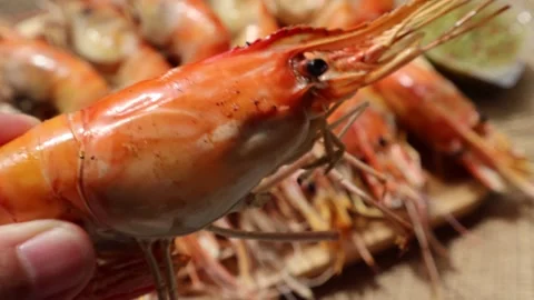Hand holding grilled shrimp. Types of grilled seafood Stock Footage 297961691