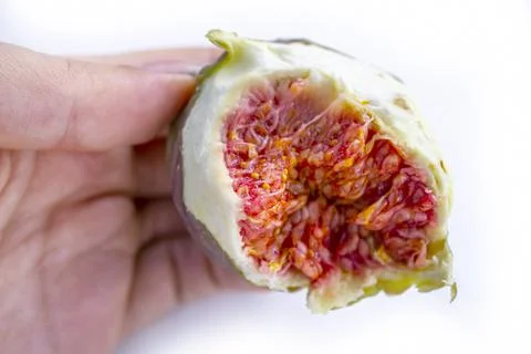 Hand holding a half slice of fig on white background. Stock Photos