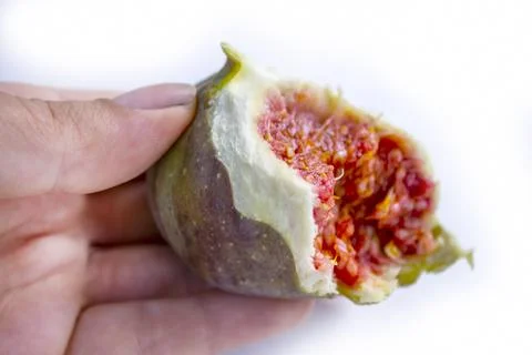Hand holding a half slice of fig on white background. Stock Photos