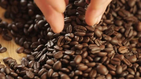 Hand is holding a handful of coffee beans Stock Footage 301356506