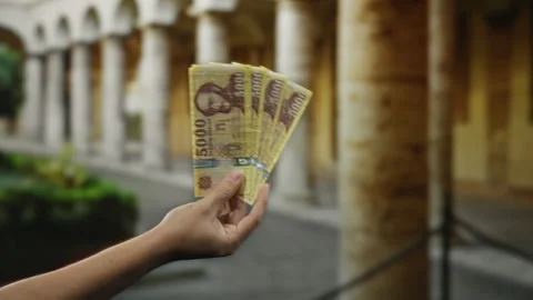 Hand holding hungarian forint banknotes outside an old university setting w.. Stock Footage 301685370