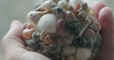 Hand Holding Intricate Seashell Sphere Art Piece Stock Footage 322201302
