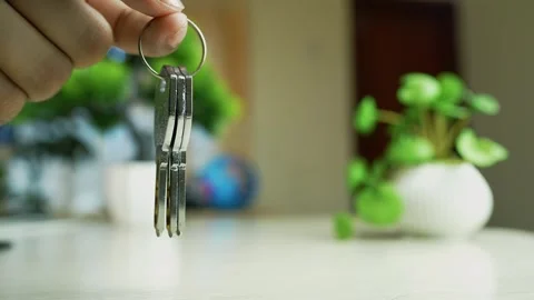 Hand holding keys with blurred background of plants and room Stock Footage 317131647
