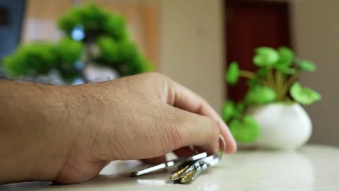 Hand holding keys on a table with plants in the background Stock Footage 317131637