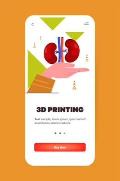 Hand holding kidneys model printed on 3d bio printer medical printing of human 스톡 일러스트