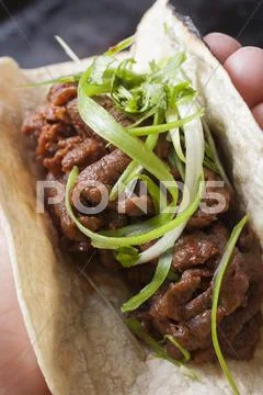 Hand Holding a Korean Bulgogi; Food Truck Specialty Stock Photos