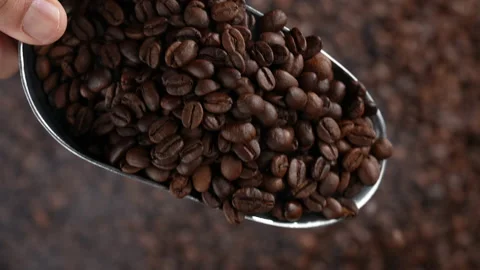 Hand holding a ladle scooping up roasted coffee beans. Stock Footage 177546516