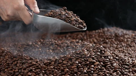 Hand holding a ladle scooping up roasted coffee beans. Stockbeeldmateriaal 177556039