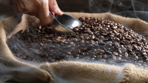 Hand holding a ladle scooping up roasted coffee beans from a pile of beans Stock-Footage 177562850