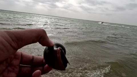Hand Holding Large Black Apple Snail Shell at Lake Shore with Speed Boat Video stock 341737104